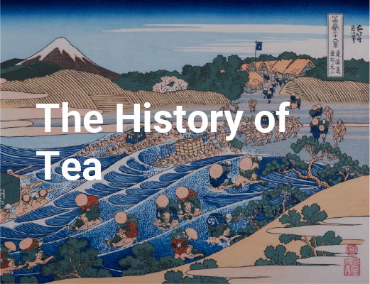 The History of Tea