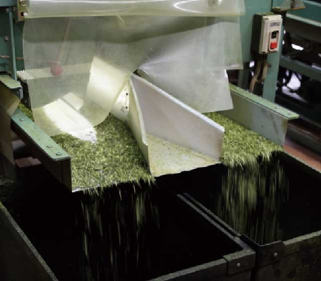 image of Sorting